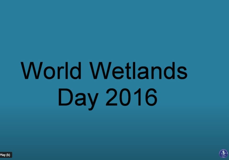 World Wetlands Day 2016