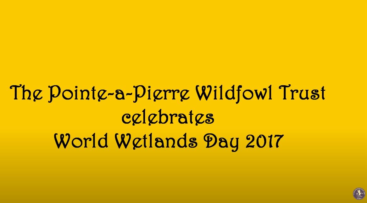 World Wetlands Day 2017