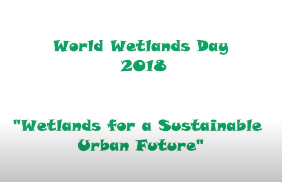 World Wetlands Day 2018